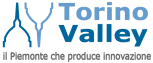 Torino Valley Logo